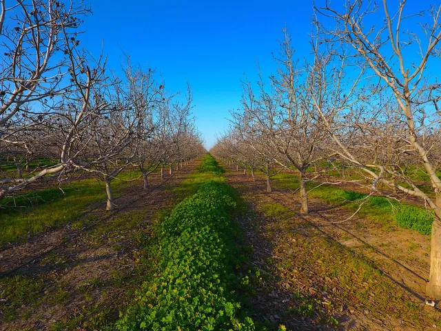 $2,500,000 | 28201 Banta Road, Tracy, CA 95304