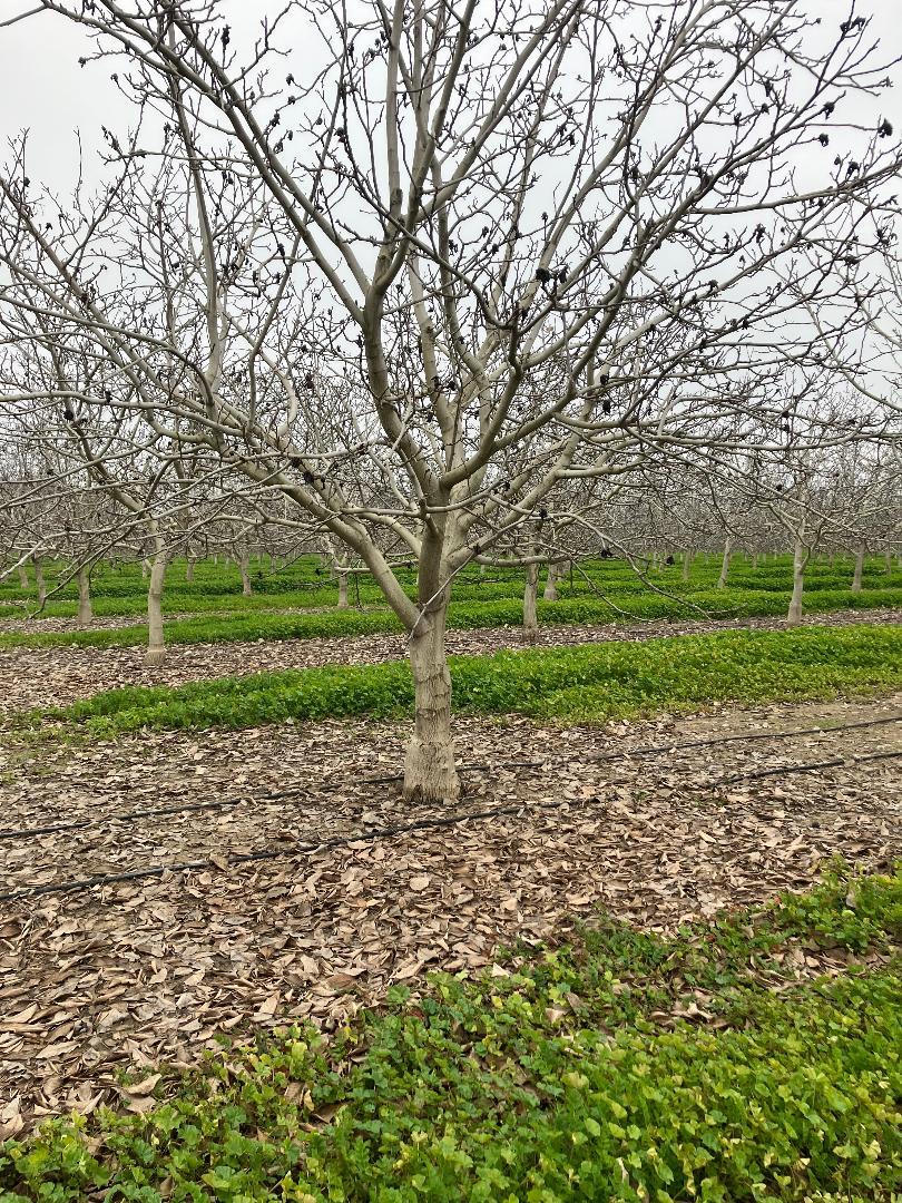 28201 Banta Road Tracy, CA 95304 - Photo 5 of 8 a view of a park