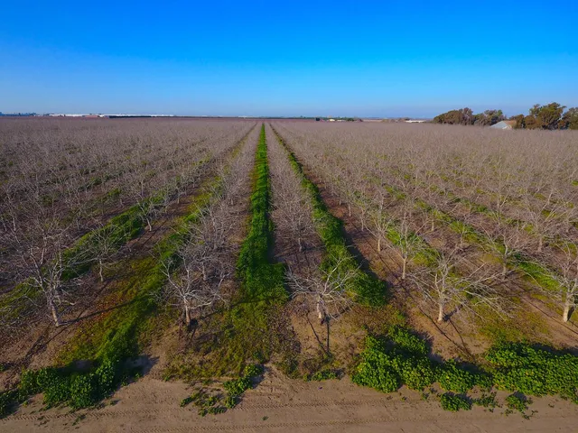 $2,500,000 | 28201 Banta Road, Tracy, CA 95304