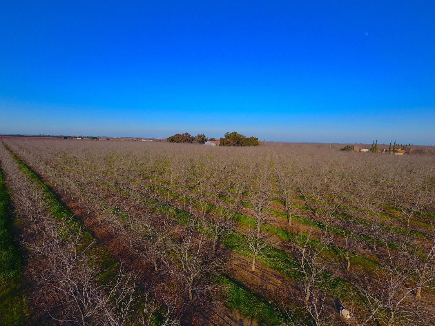 28201 Banta Road Tracy, CA 95304 - Photo 7 of 8 a view of ocean