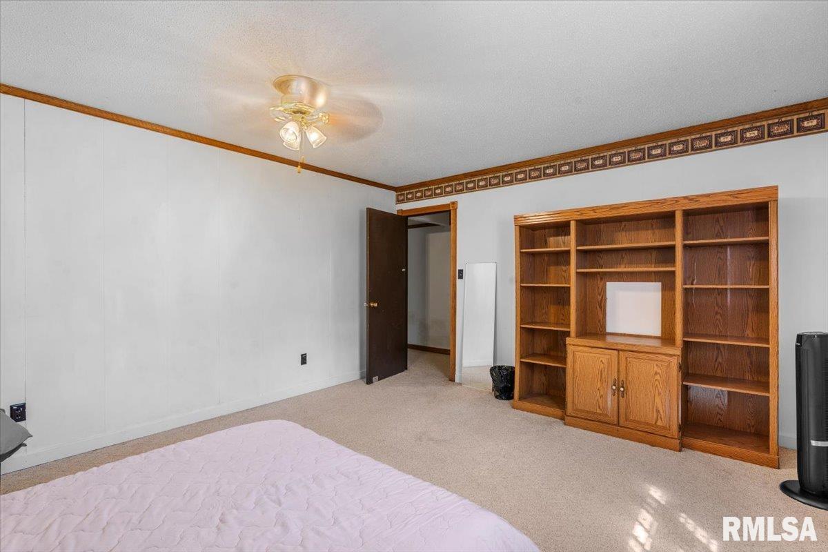 5260 River View Road Riverton, IL 62561 - Photo 25 of 34