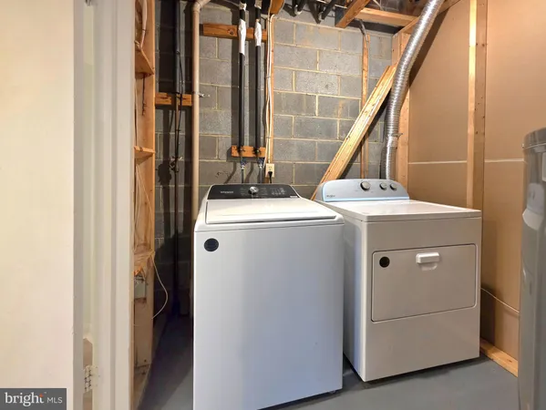 a view of a roadside with trees and bushes