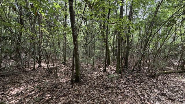 0 Thigpen Road Franklinton, LA 70438 - Photo 31 of 34
