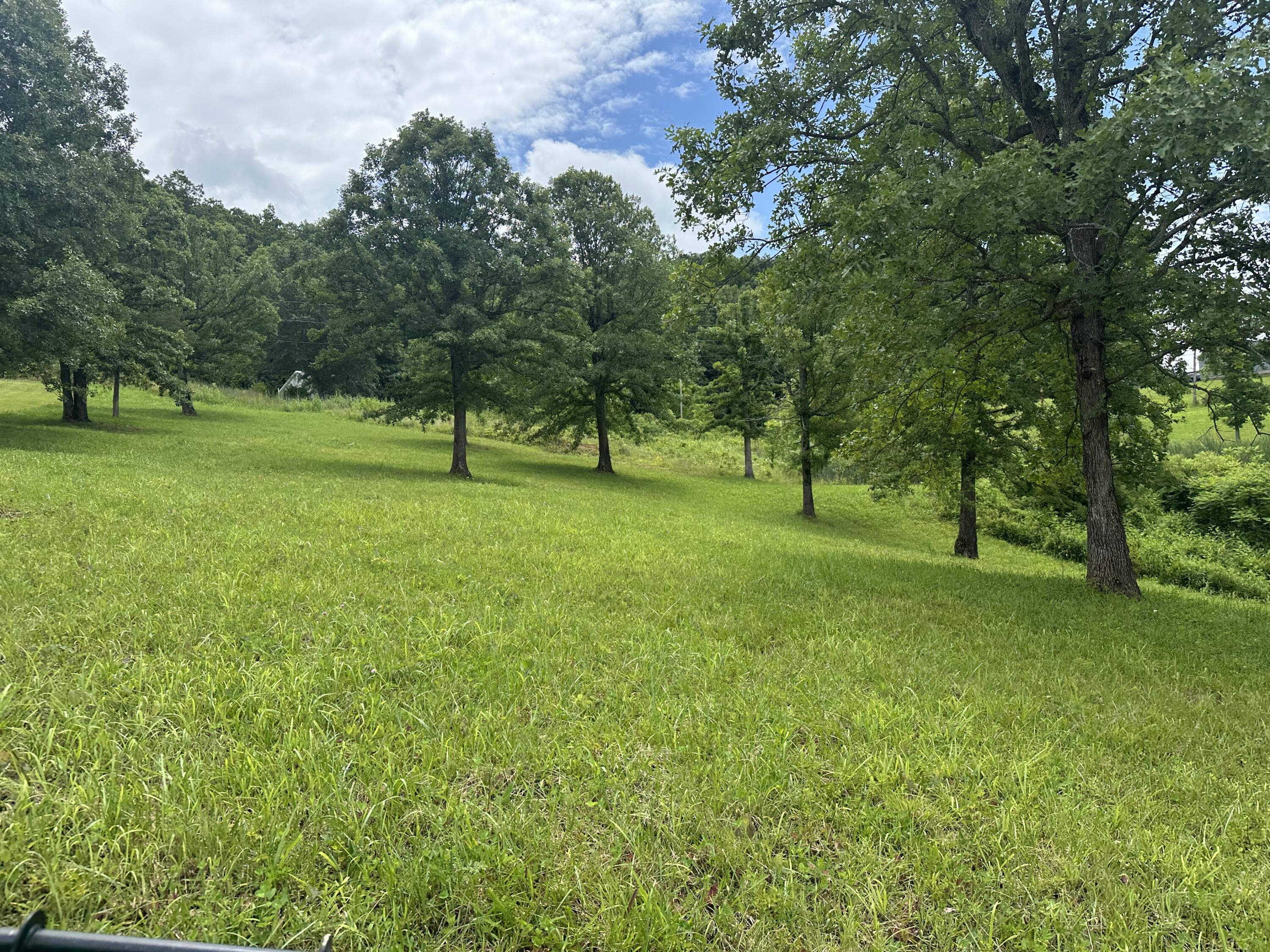 1431 Burton Williams Road Irvine, KY 40336 - Photo 1 of 11 IMG_1431