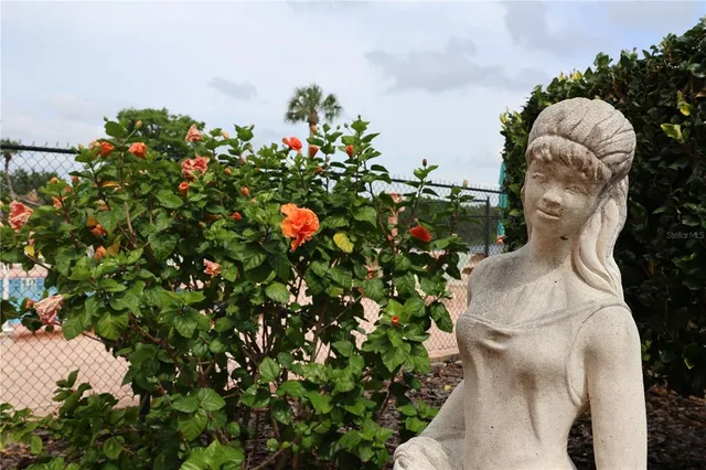 a close up of a flower in a garden