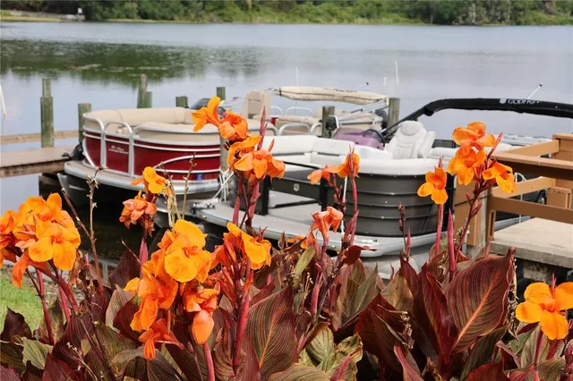 an aerial view of a house with lake view