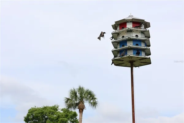 a close up of a wall