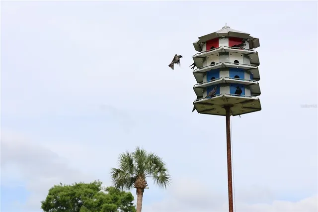 a close up of a wall