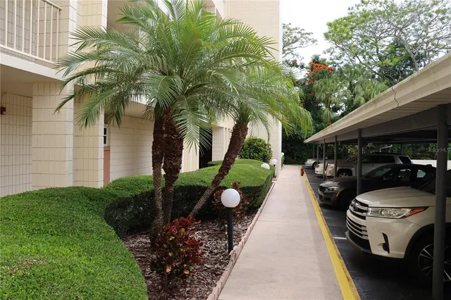 a view of a patio with table and chairs potted plants and large tree