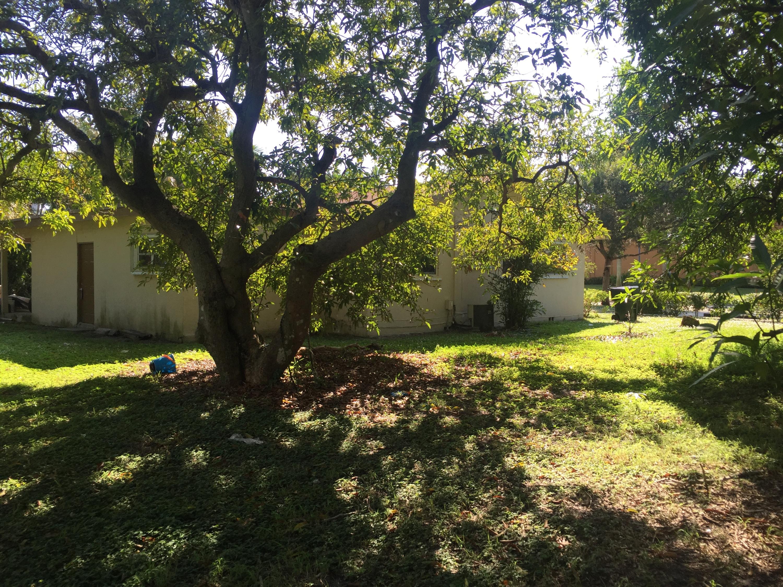 137 Northeast Sapphire Street Boca Raton, FL 33432 - Photo 8 of 14 IMG_2904