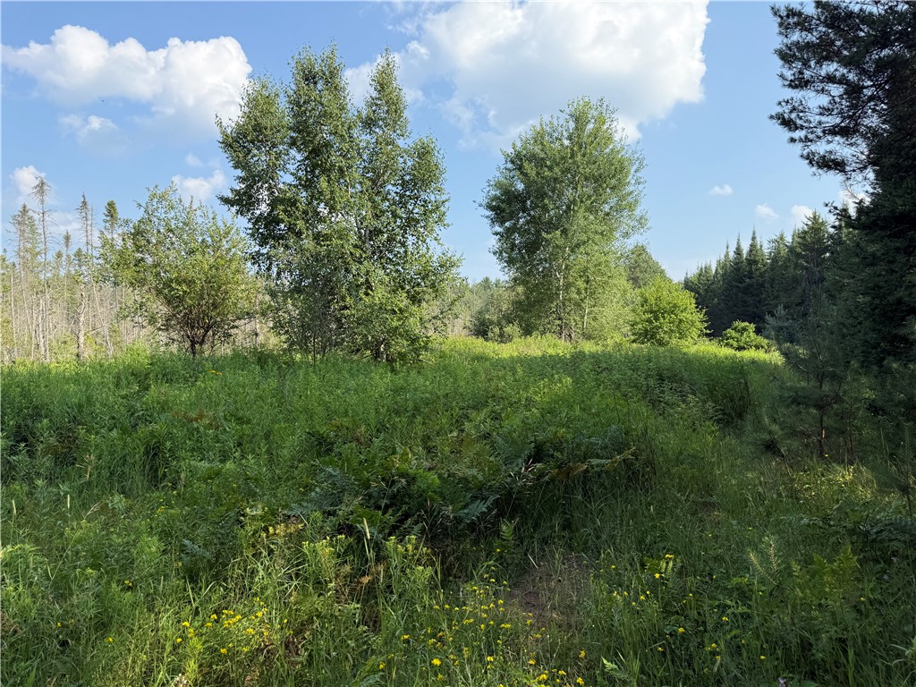 0 Tagalder Trail Hayward, WI 54843 - Photo 17 of 23