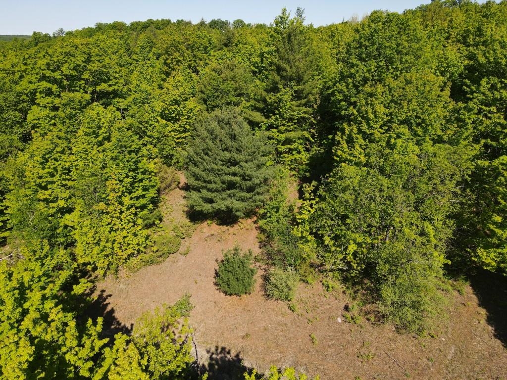 Tbd Pesek Road East Jordan, MI 49727 - Photo 21 of 28