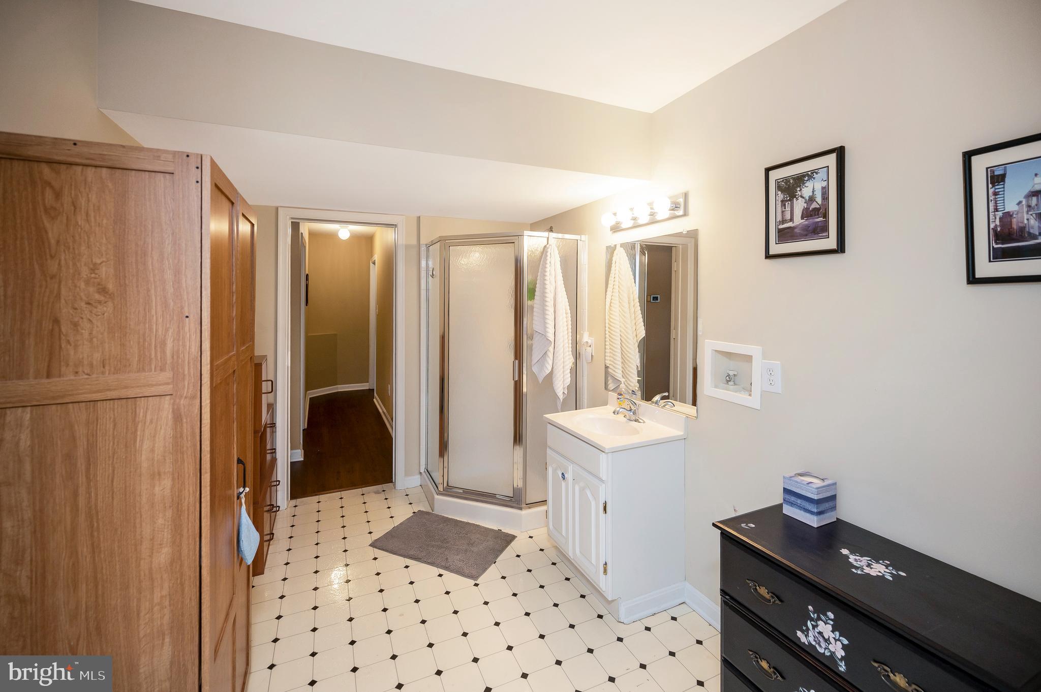 248 Washington Street Locust Grove, VA 22508 - Photo 53 of 118 Full Bath #3 in the LL