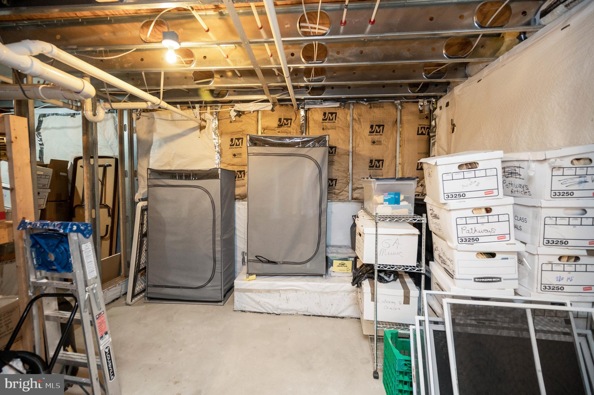 248 Washington Street Locust Grove, VA 22508 - Photo 63 of 118 Ample Storage Areas on Lower Level