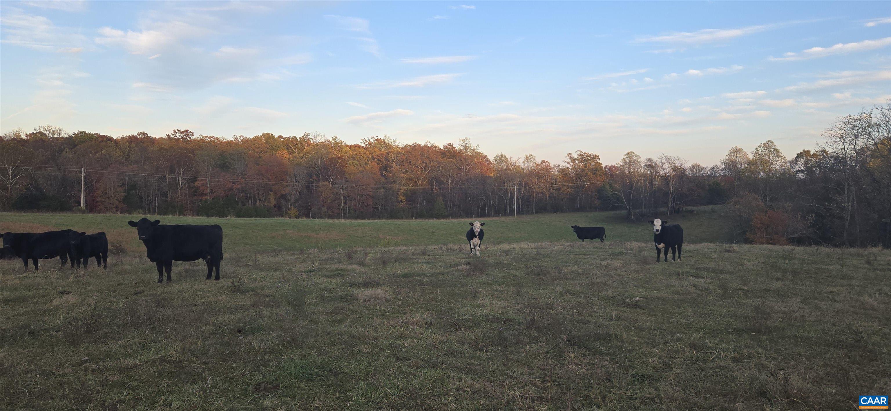 0 Octonia Road Stanardsville, VA 22973 - Photo 27 of 45 a view of outdoor space with green field and trees