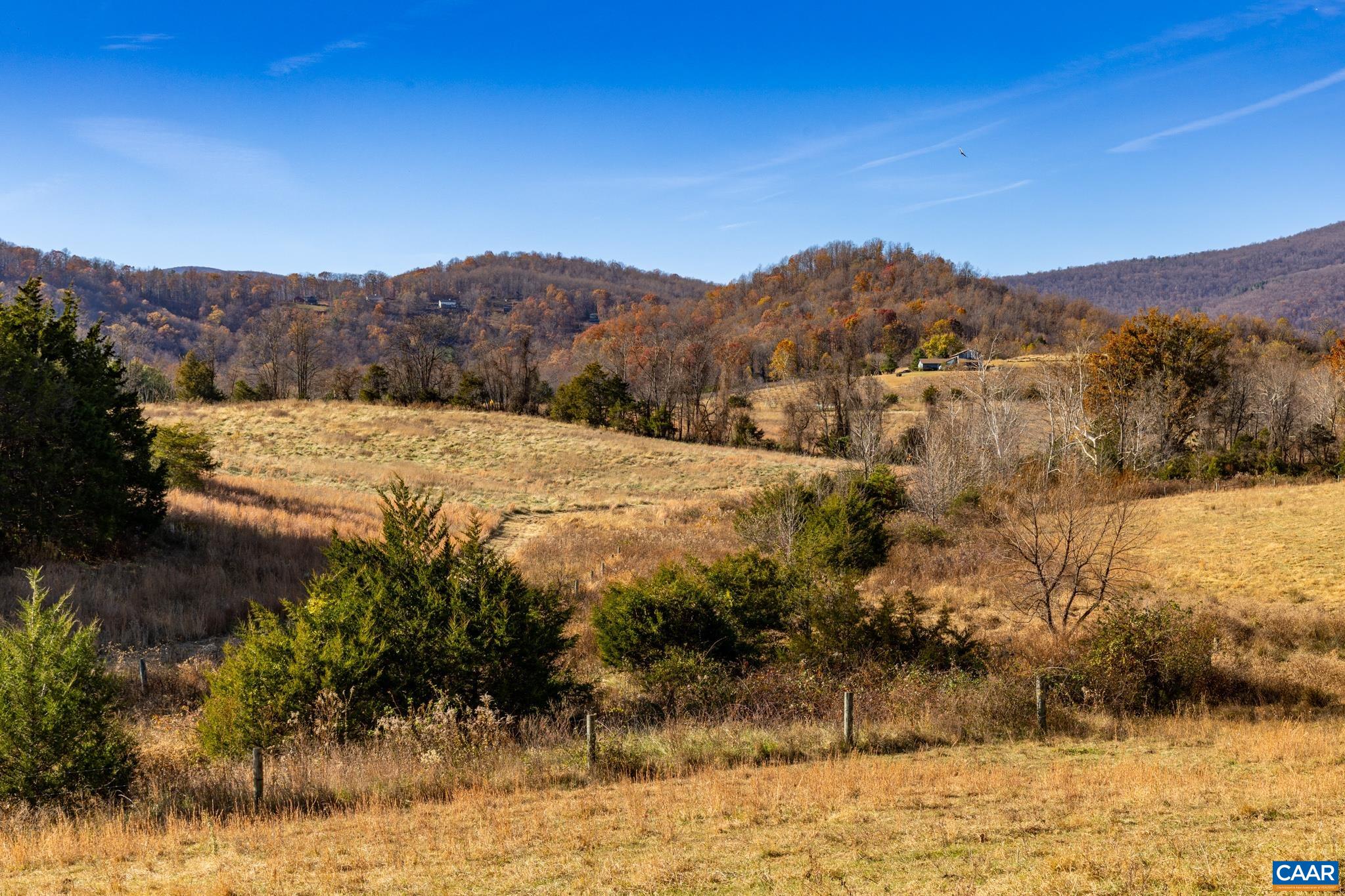 0 Octonia Road Stanardsville, VA 22973 - Photo 29 of 45 a view of a dry yard