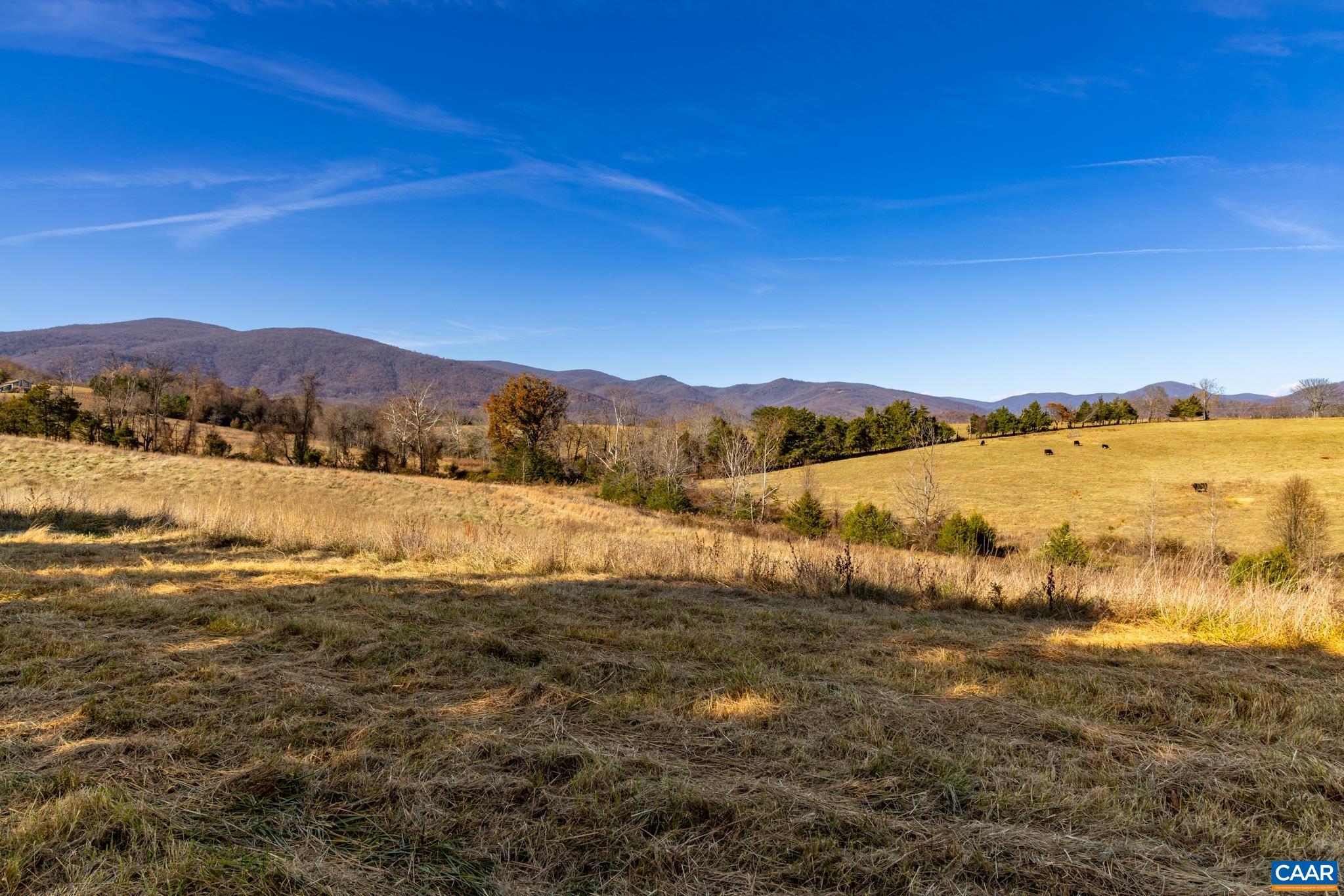 0 Octonia Road Stanardsville, VA 22973 - Photo 34 of 45 a view of lake with mountain