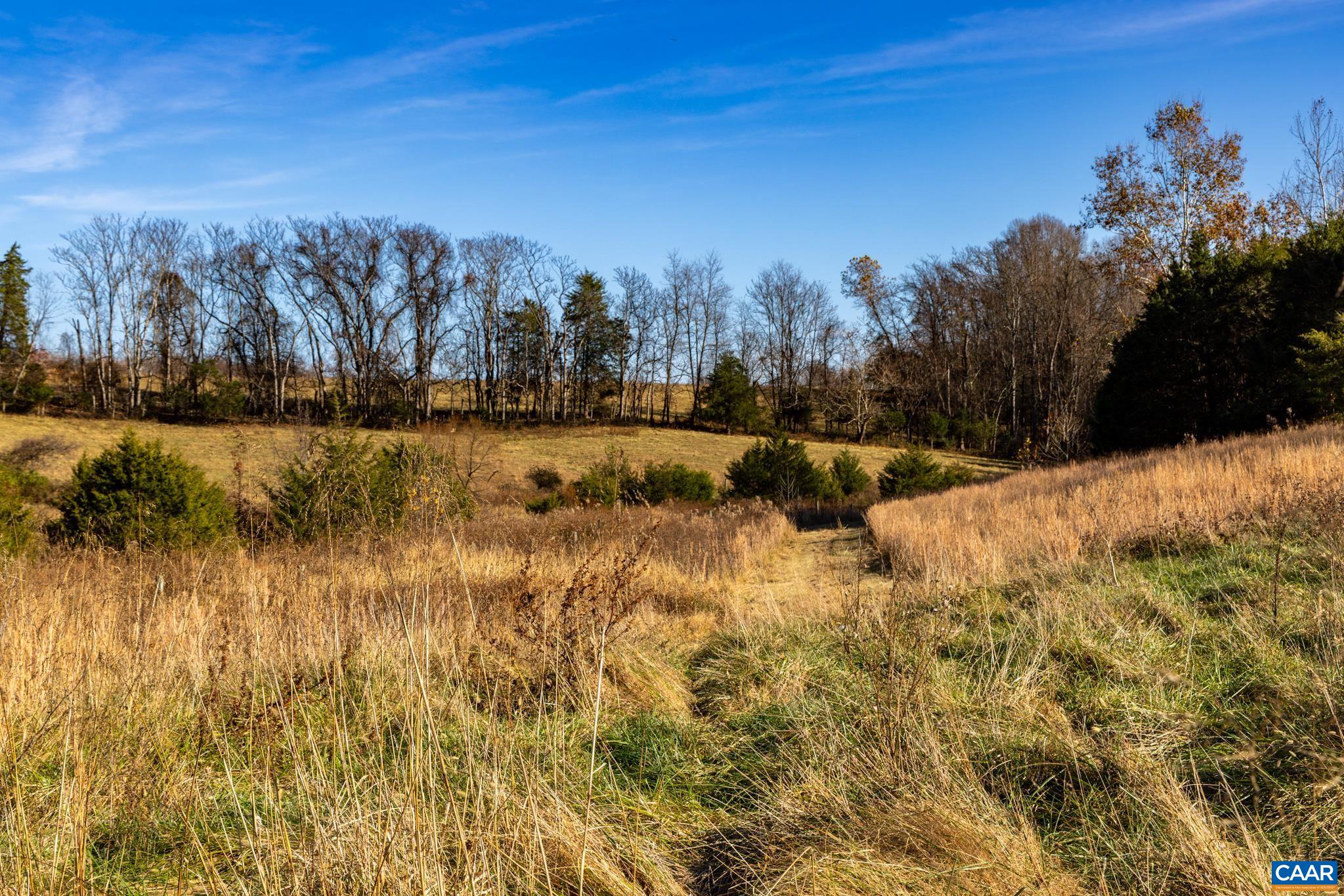 0 Octonia Road Stanardsville, VA 22973 - Photo 37 of 45 a view of a yard with a lake view