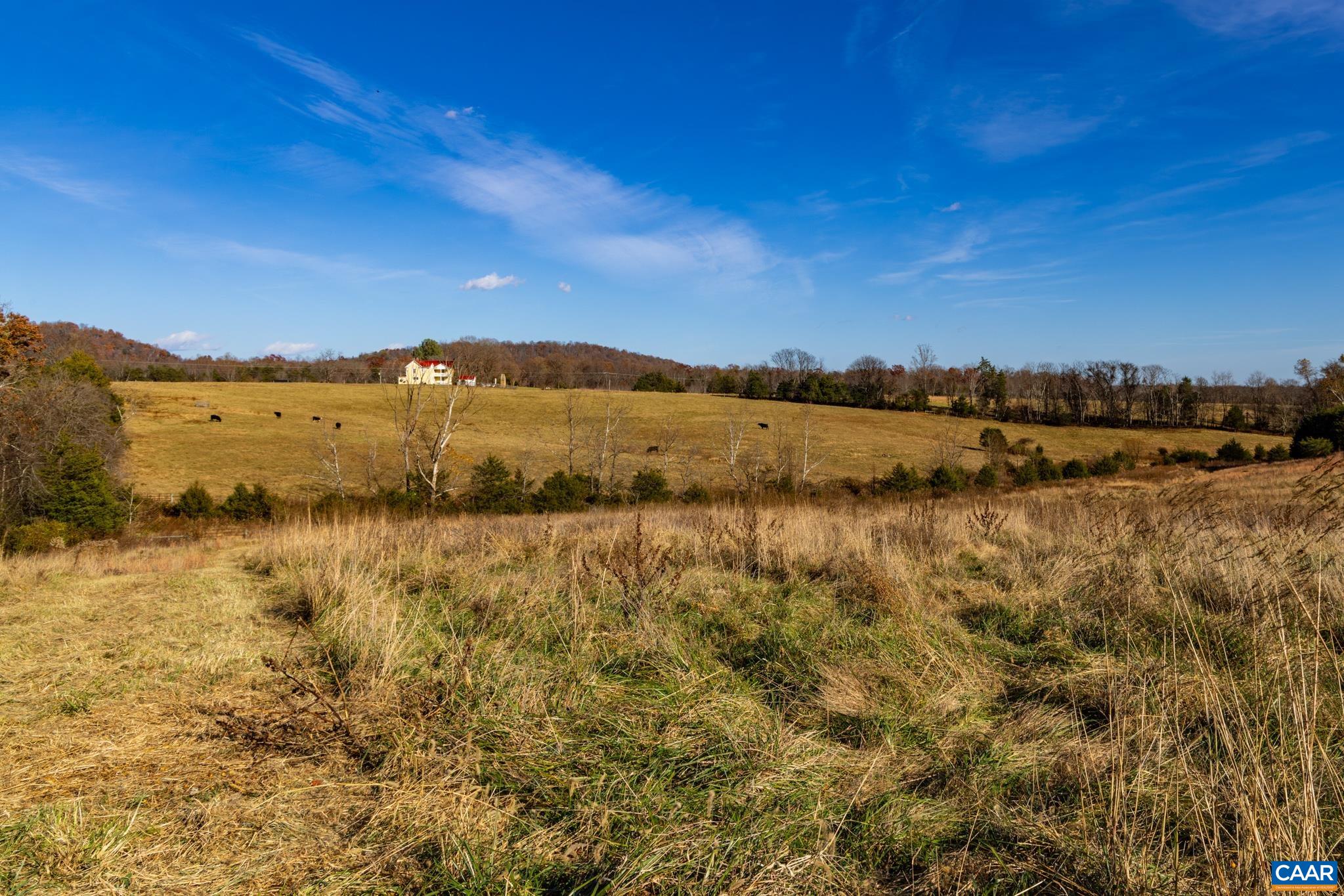 0 Octonia Road Stanardsville, VA 22973 - Photo 40 of 45 a view of lake and mountain