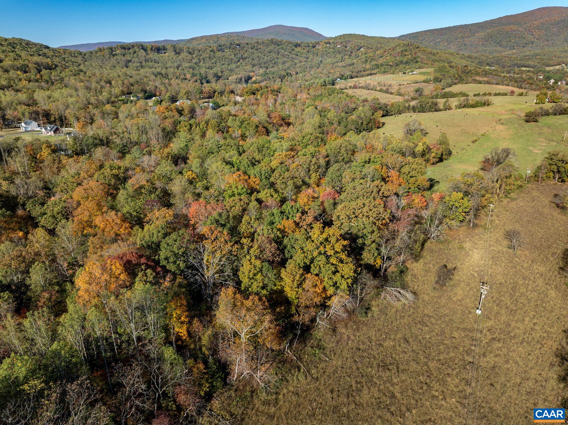 0 Octonia Road Stanardsville, VA 22973 - Photo 8 of 45 a view of a forest with a mountain