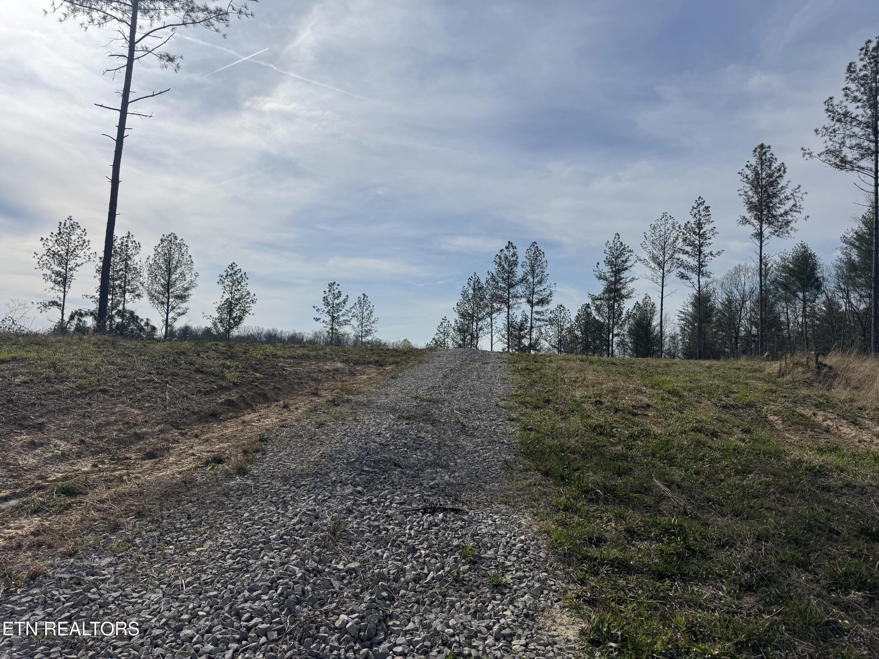 0 Burrville Road Sunbright, TN 37872 - Photo 2 of 28 IMG_3246