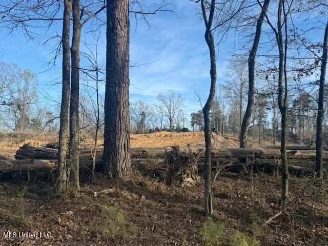 $150,000 | 2 Slocum Road, Hernando, MS 38632