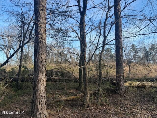 2 Slocum Road Hernando, MS 38632 - Photo 4 of 5 IMG_3873