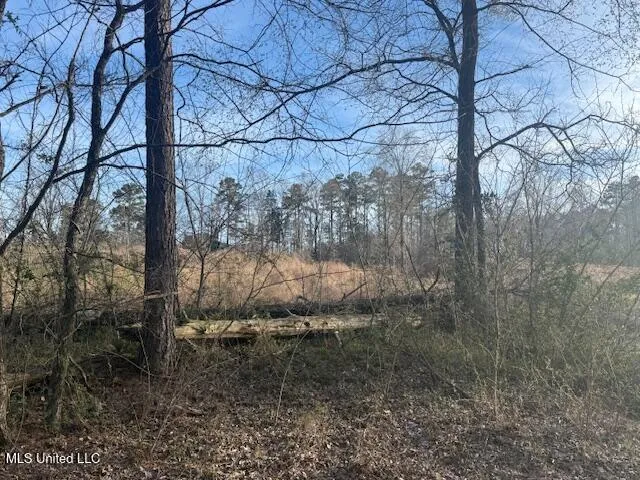 $150,000 | 2 Slocum Road, Hernando, MS 38632