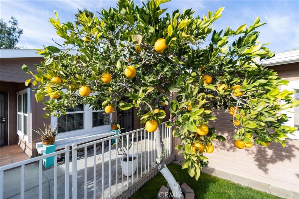 35493 Sand Rock Road Thousand Palms, CA 92276 - Photo 39 of 69