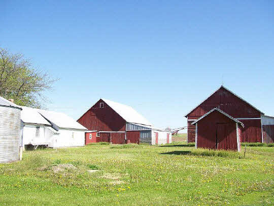 7369 North Mt Vernon Road Forreston, IL 61030 - Photo 10 of 11 Gallery Image 10