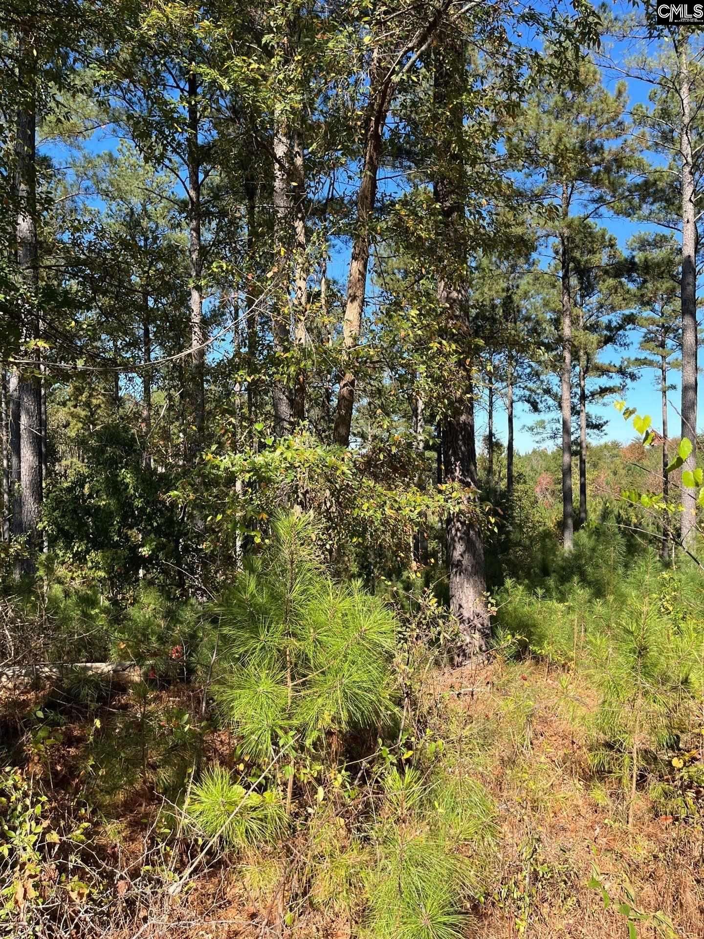 3 Dawkins Road, Unit DRF 3 Whitmire, SC 29178 - Photo 2 of 38
