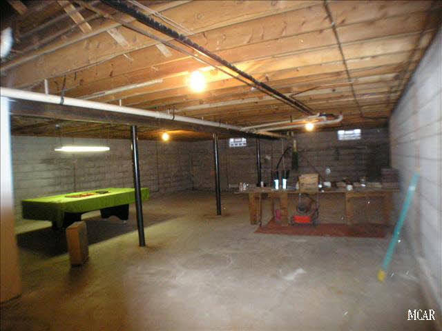 10010 West Albain Road Petersburg, MI 49270 - Photo 11 of 12 full basement