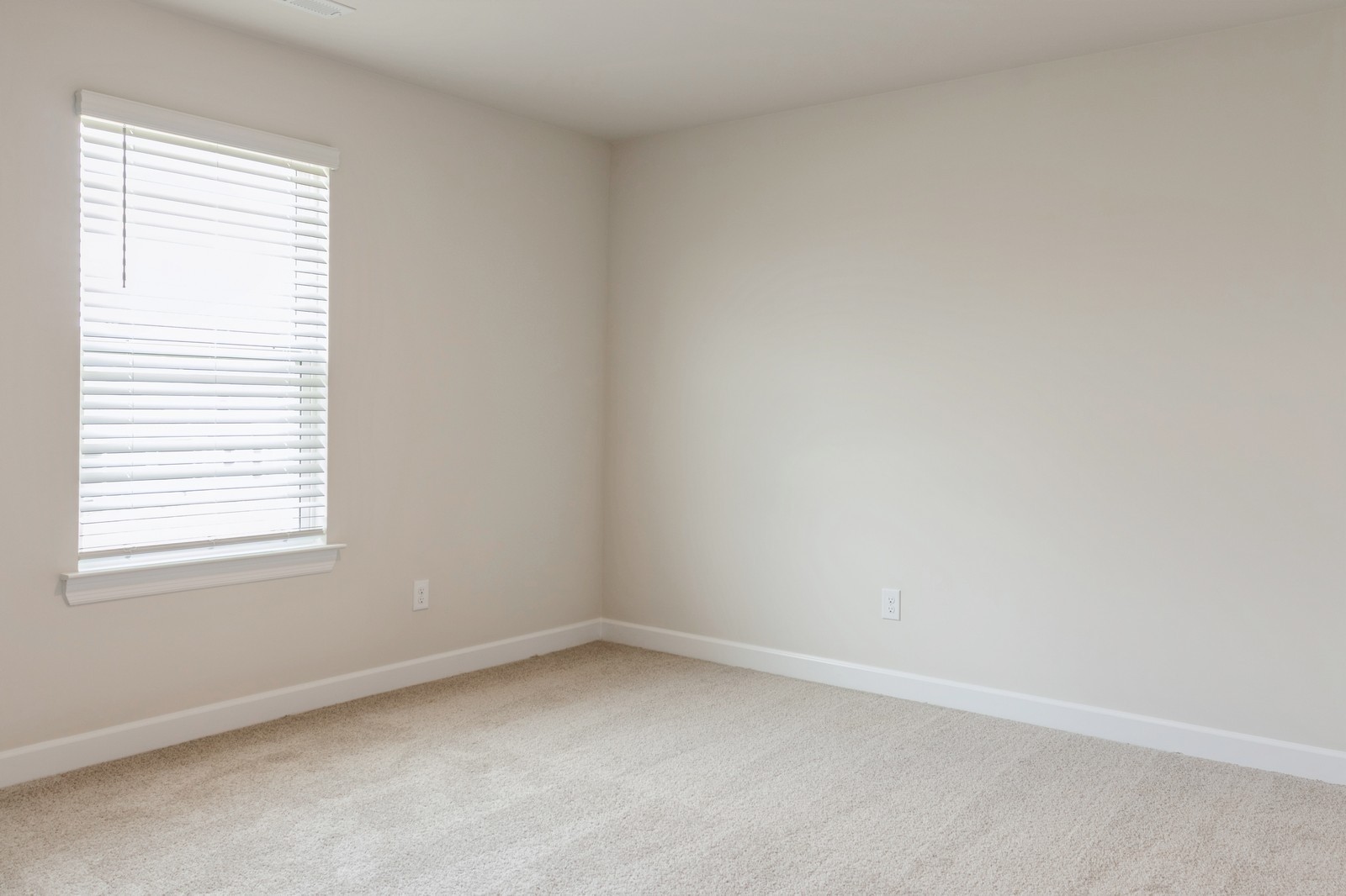 2334 Nabali Way Murfreesboro, TN 37127 - Photo 6 of 25 an empty room with a window
