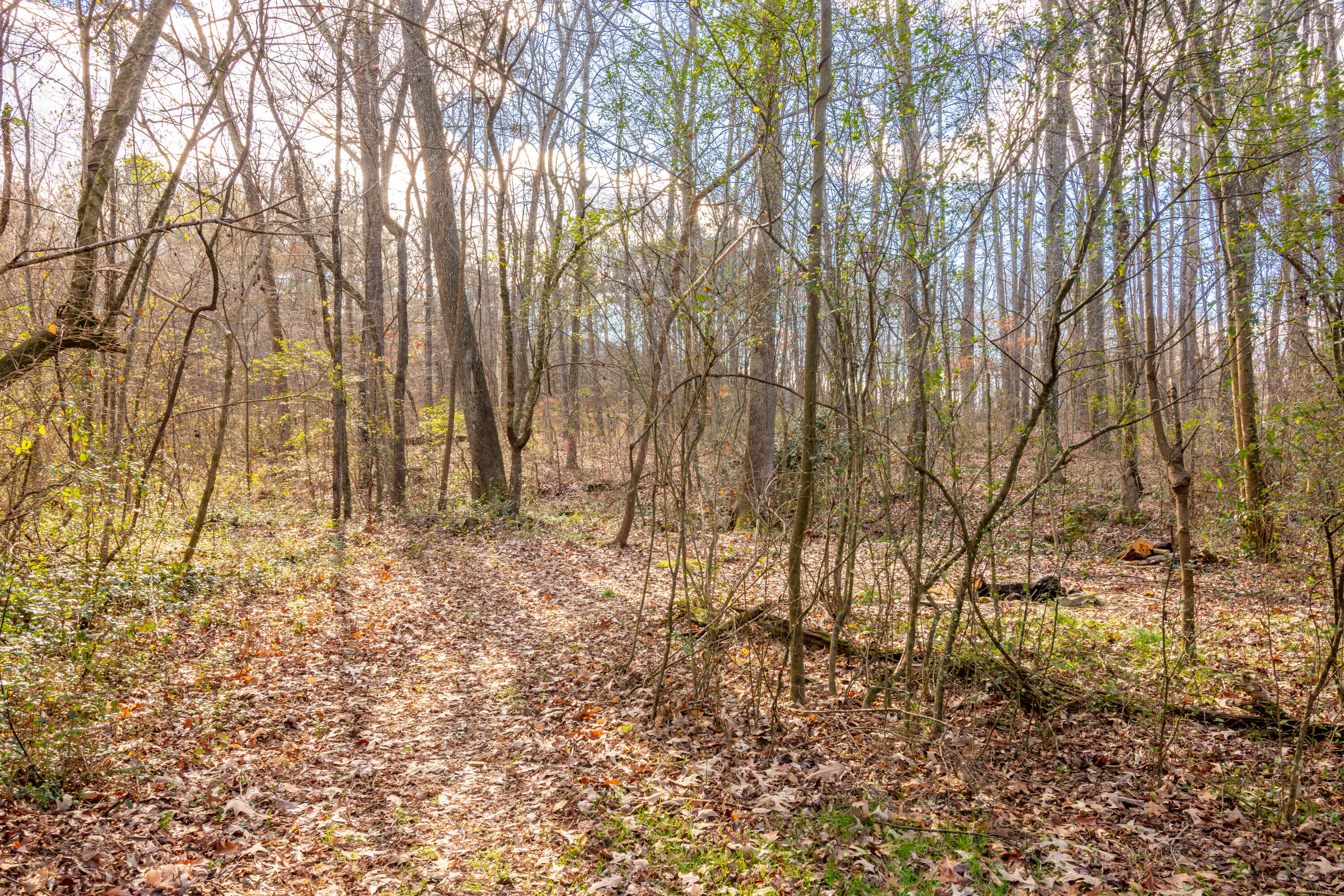 5 Wotring Street Rossville, GA 30741 - Photo 39 of 42 5 Wotring -42