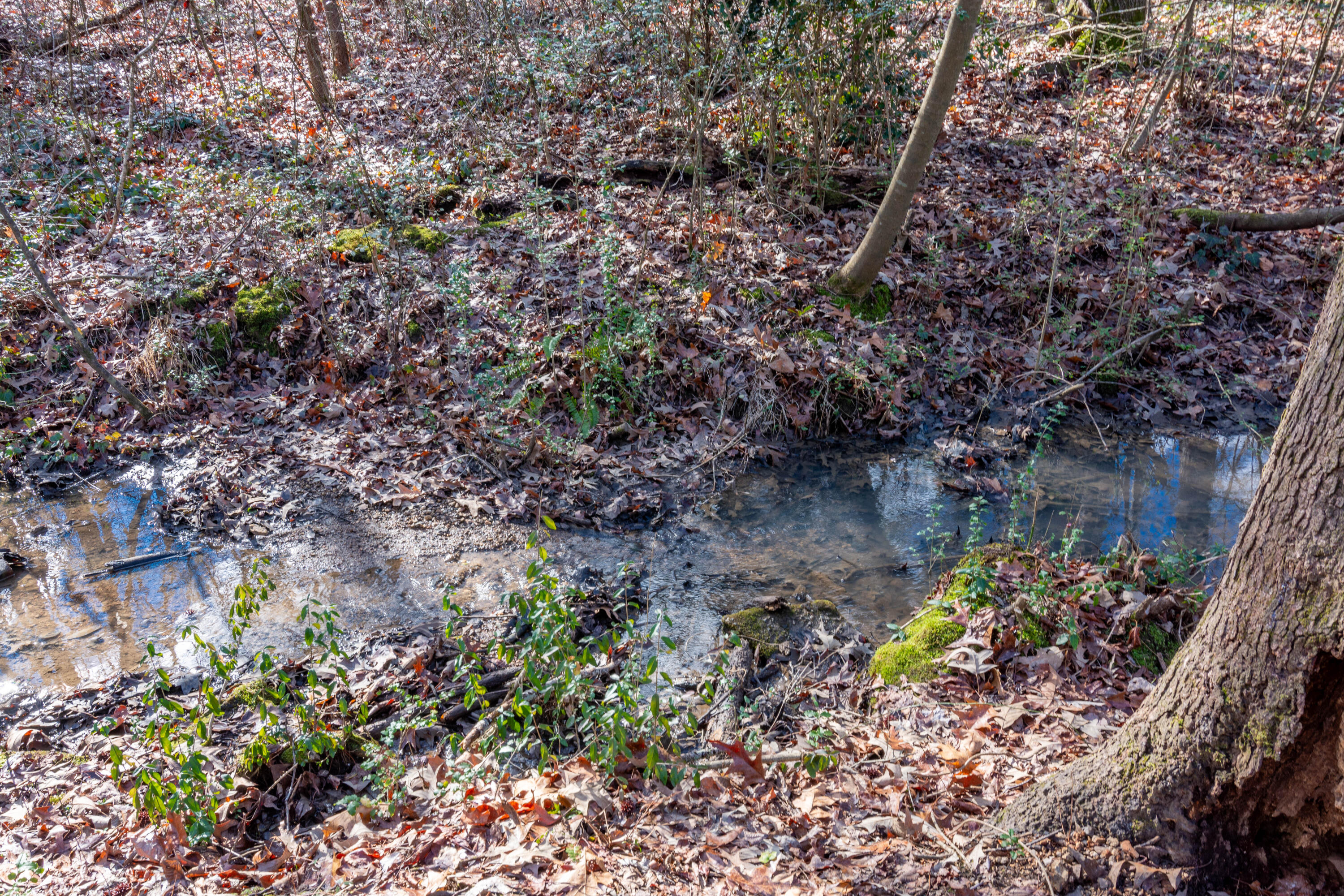 5 Wotring Street Rossville, GA 30741 - Photo 40 of 42 5 Wotring -43