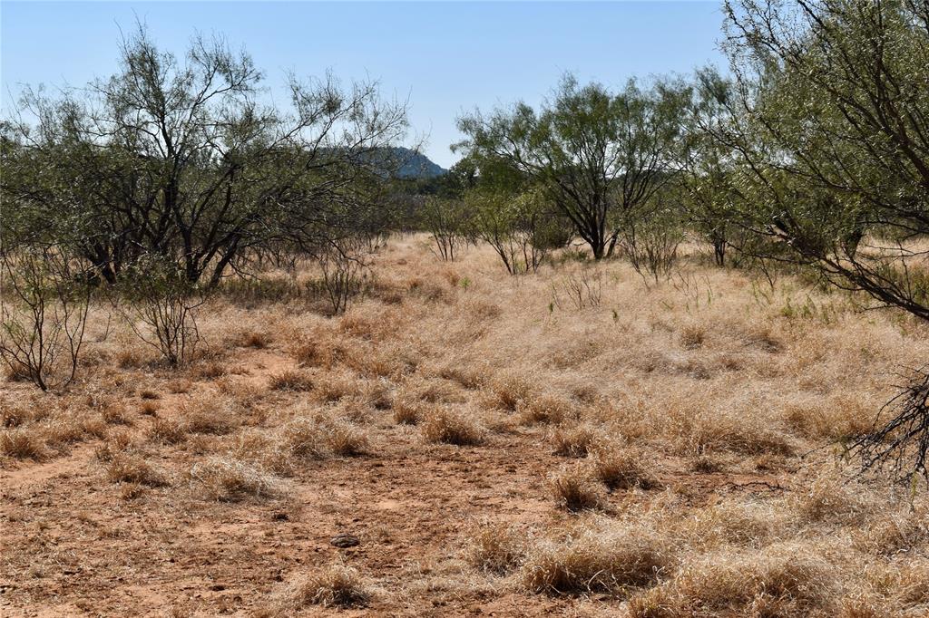 19319 Ranch Road 1871 Mason, TX 76856 - Photo 25 of 40 a view of a yard with a tree