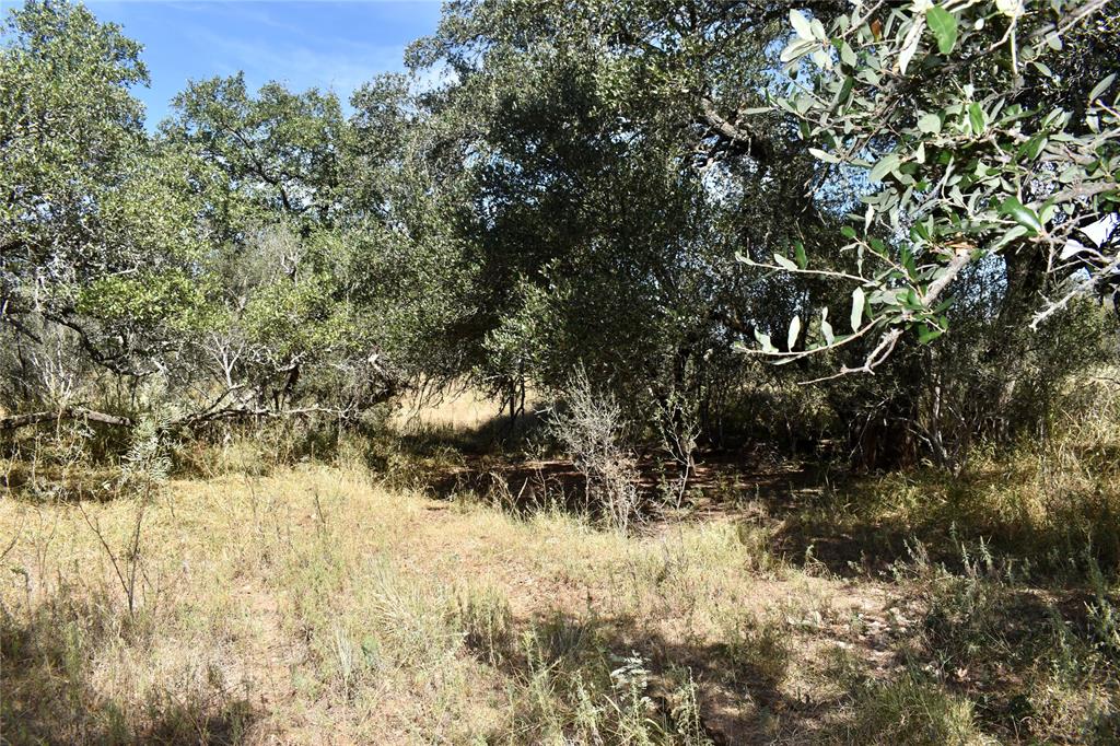 19319 Ranch Road 1871 Mason, TX 76856 - Photo 27 of 40