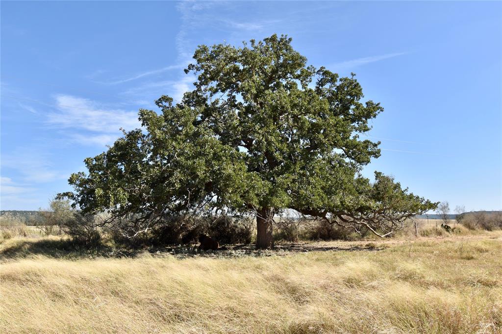 19319 Ranch Road 1871 Mason, TX 76856 - Photo 30 of 40 a view of a yard covered with snow
