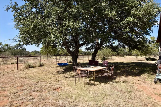 a view of a tree in a field