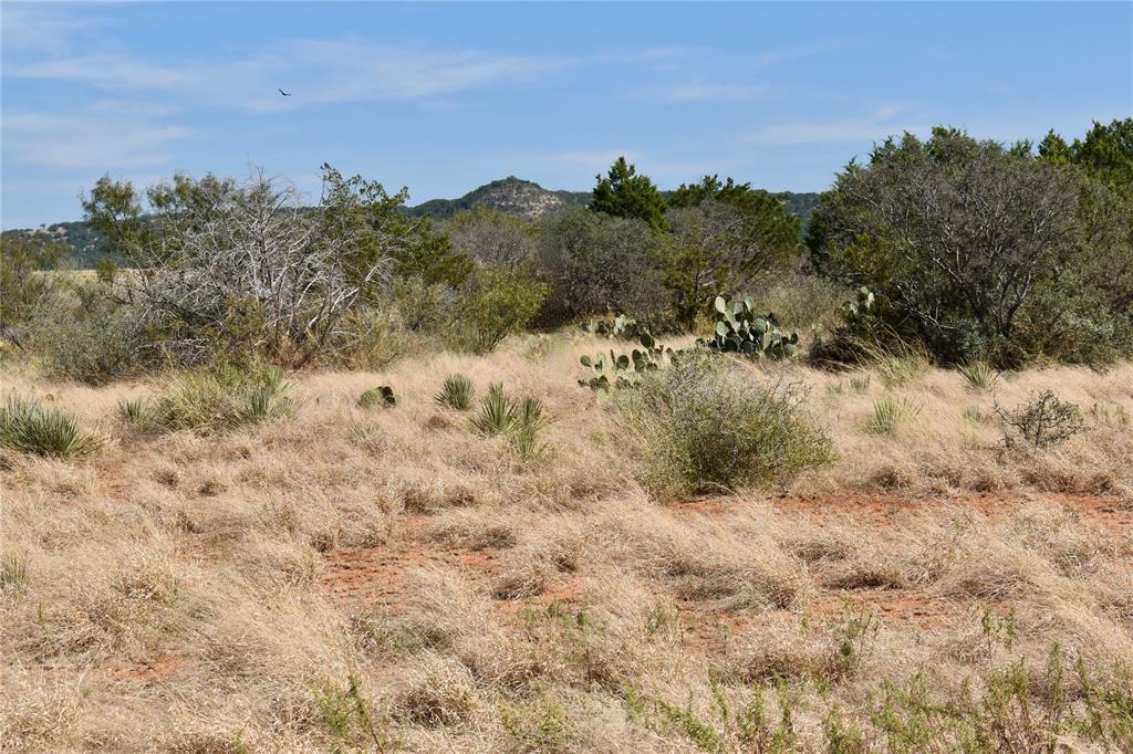 19319 Ranch Road 1871 Mason, TX 76856 - Photo 38 of 40 a view of a covered with trees in the background