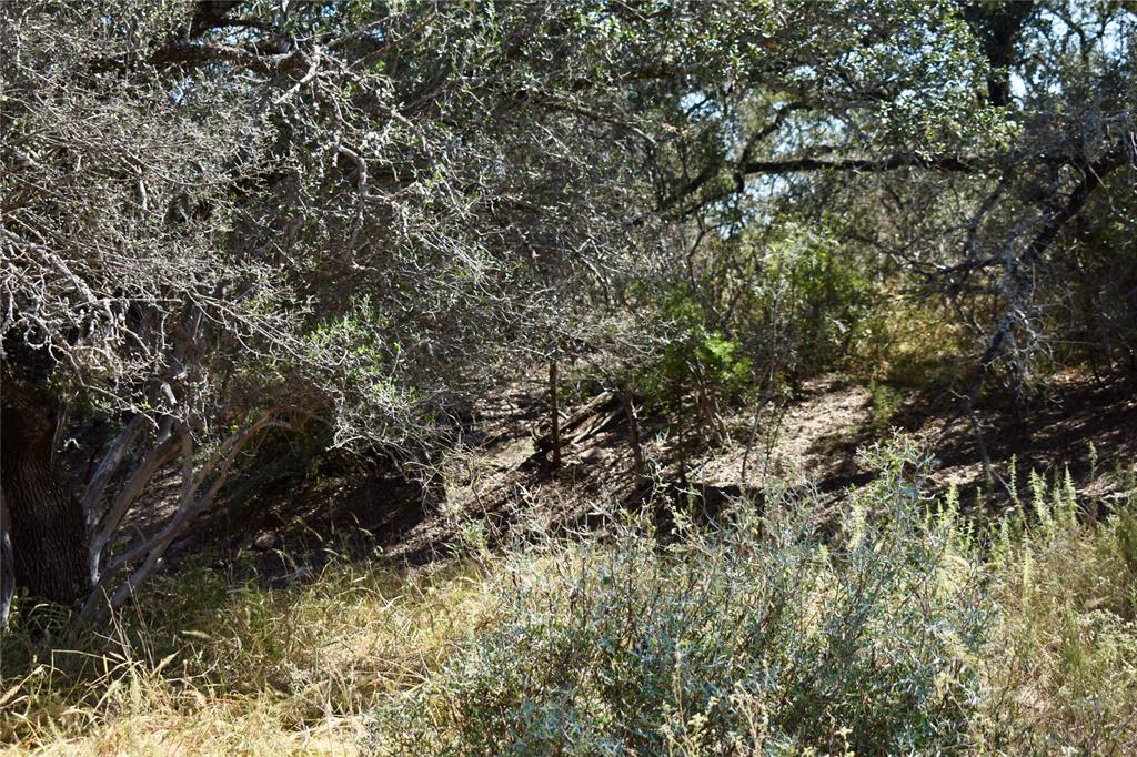 19319 Ranch Road 1871 Mason, TX 76856 - Photo 39 of 40 a view of a tree