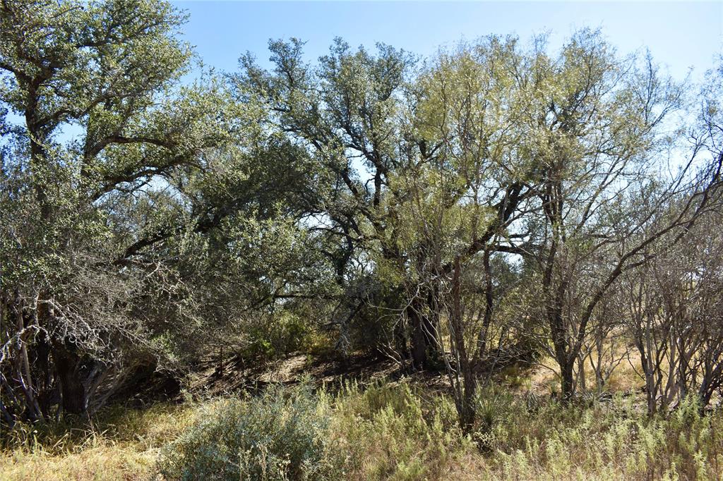 19319 Ranch Road 1871 Mason, TX 76856 - Photo 40 of 40 a view of forest