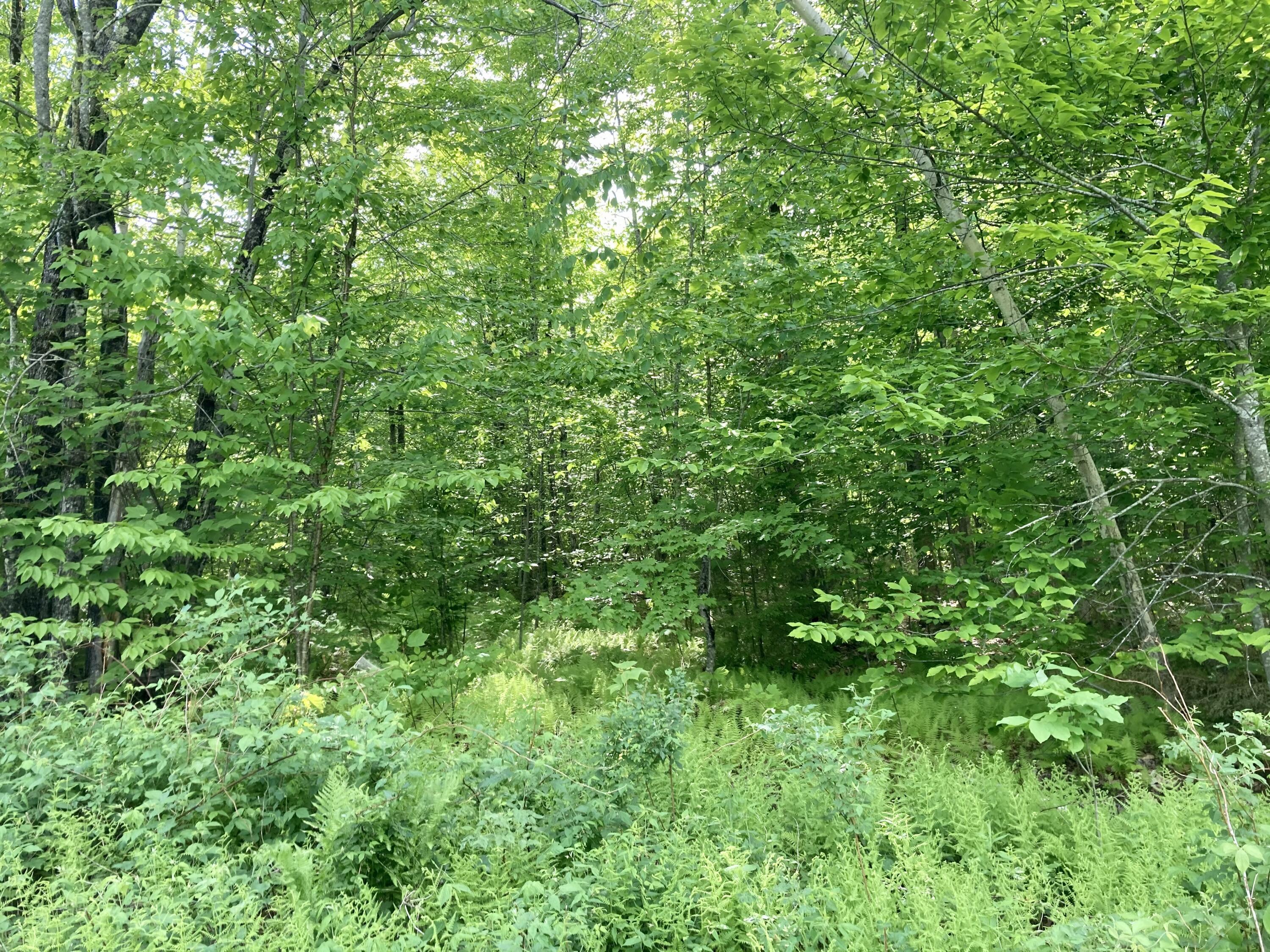 Tbd Tbd Jack Rabbit Run Fryeburg, ME 04037 - Photo 1 of 9 2.7 acres