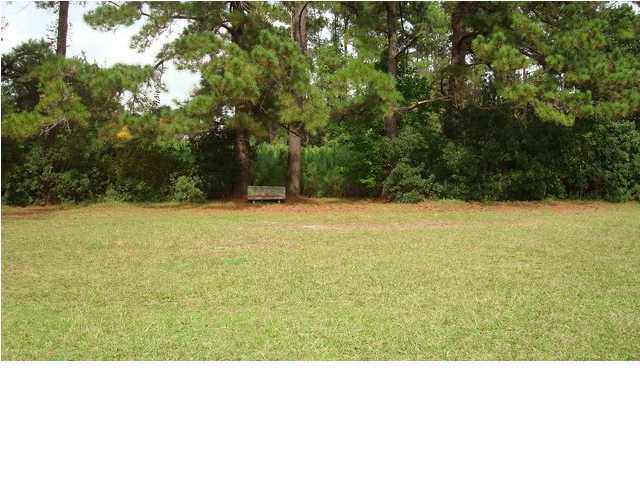 1217 Peurifoy Road Walterboro, SC 29488 - Photo 9 of 24 Additional Photo