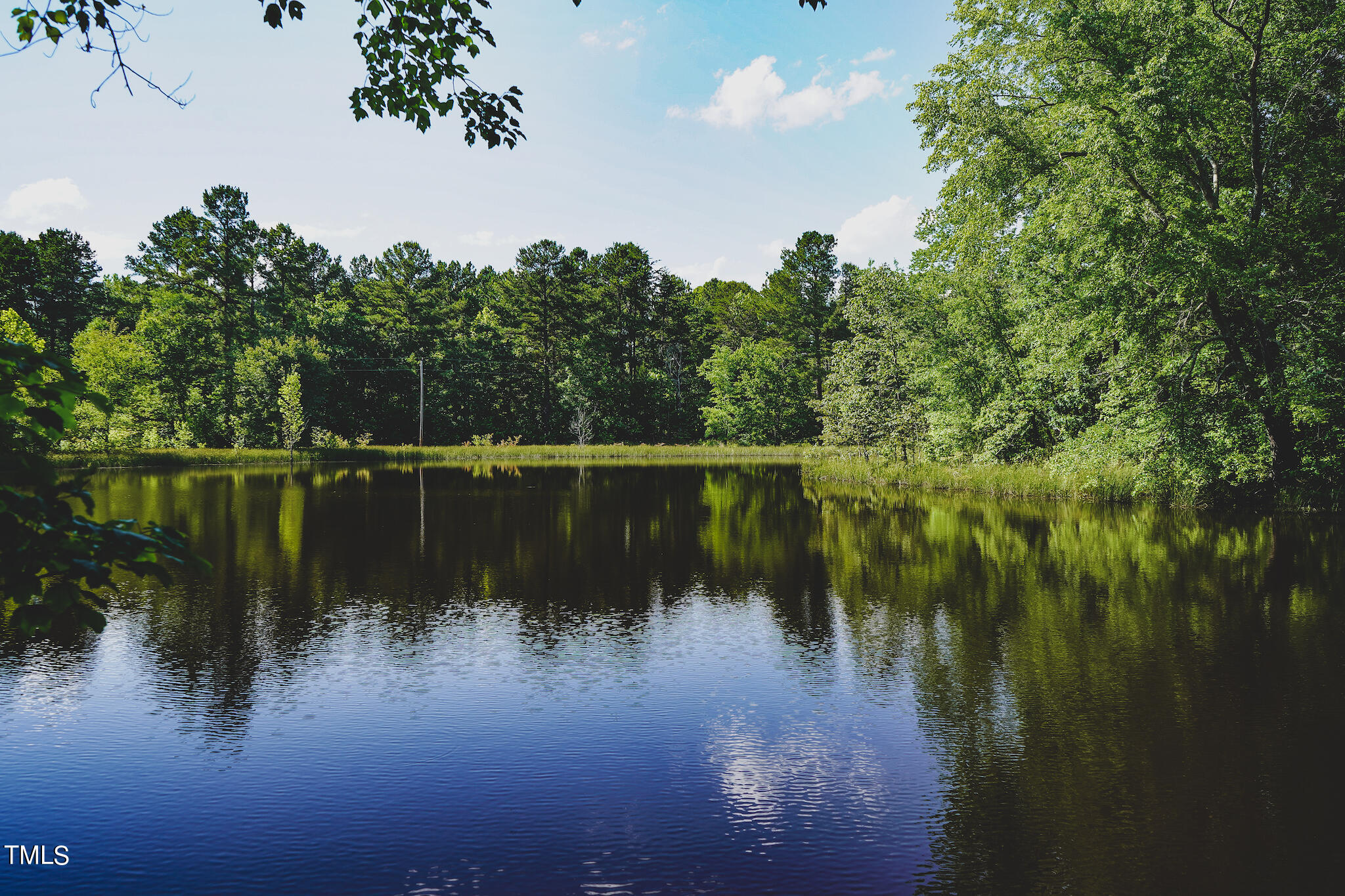 111-acres Hobgood Road Rougemont, NC 27572 - Photo 21 of 65 21