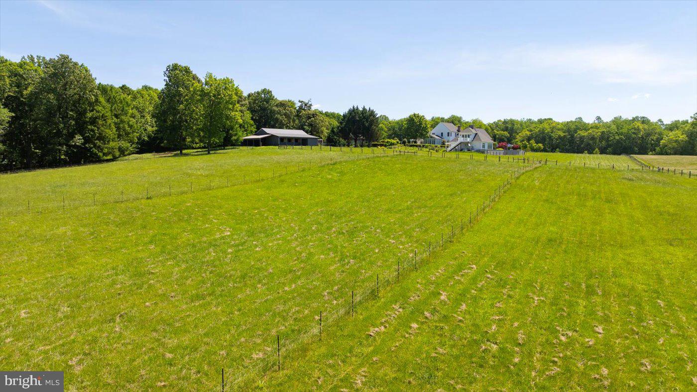 10042 Cedar Spring Lane Culpeper, VA 22701 - Photo 101 of 111 Pasture