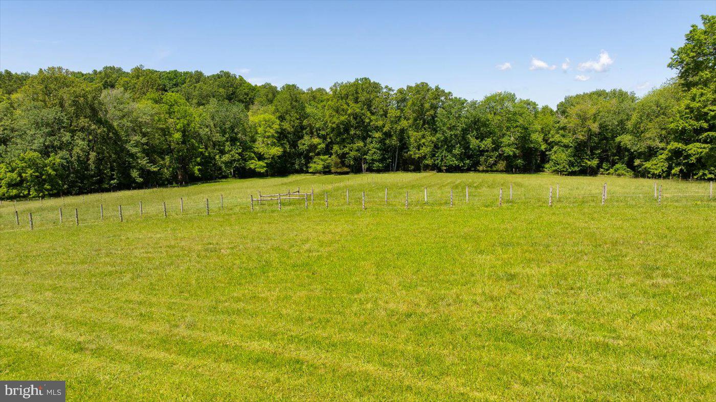 10042 Cedar Spring Lane Culpeper, VA 22701 - Photo 102 of 111 Pasture