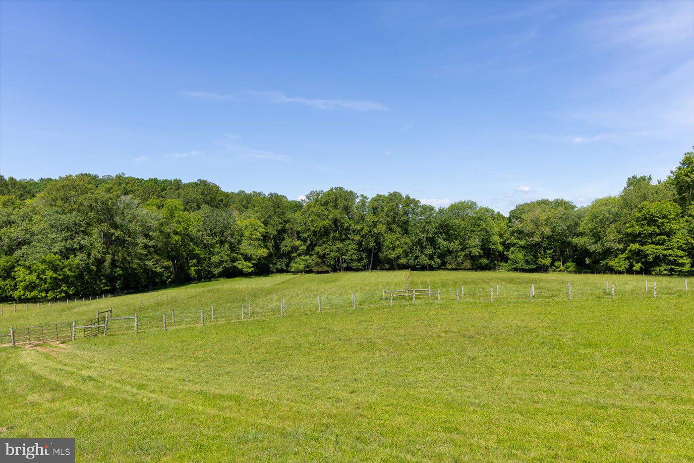 10042 Cedar Spring Lane Culpeper, VA 22701 - Photo 103 of 111 Pasture