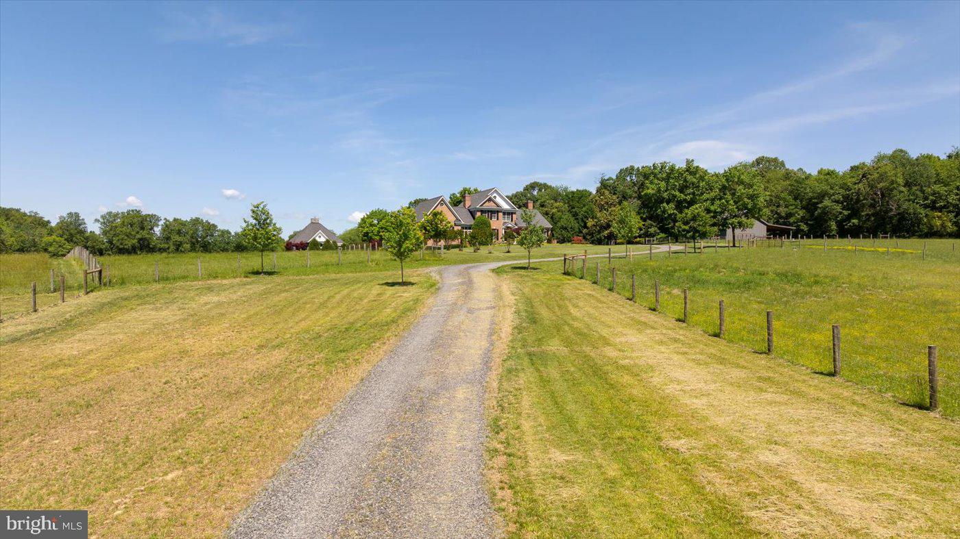 10042 Cedar Spring Lane Culpeper, VA 22701 - Photo 14 of 111 A long gravel driveway leads the way