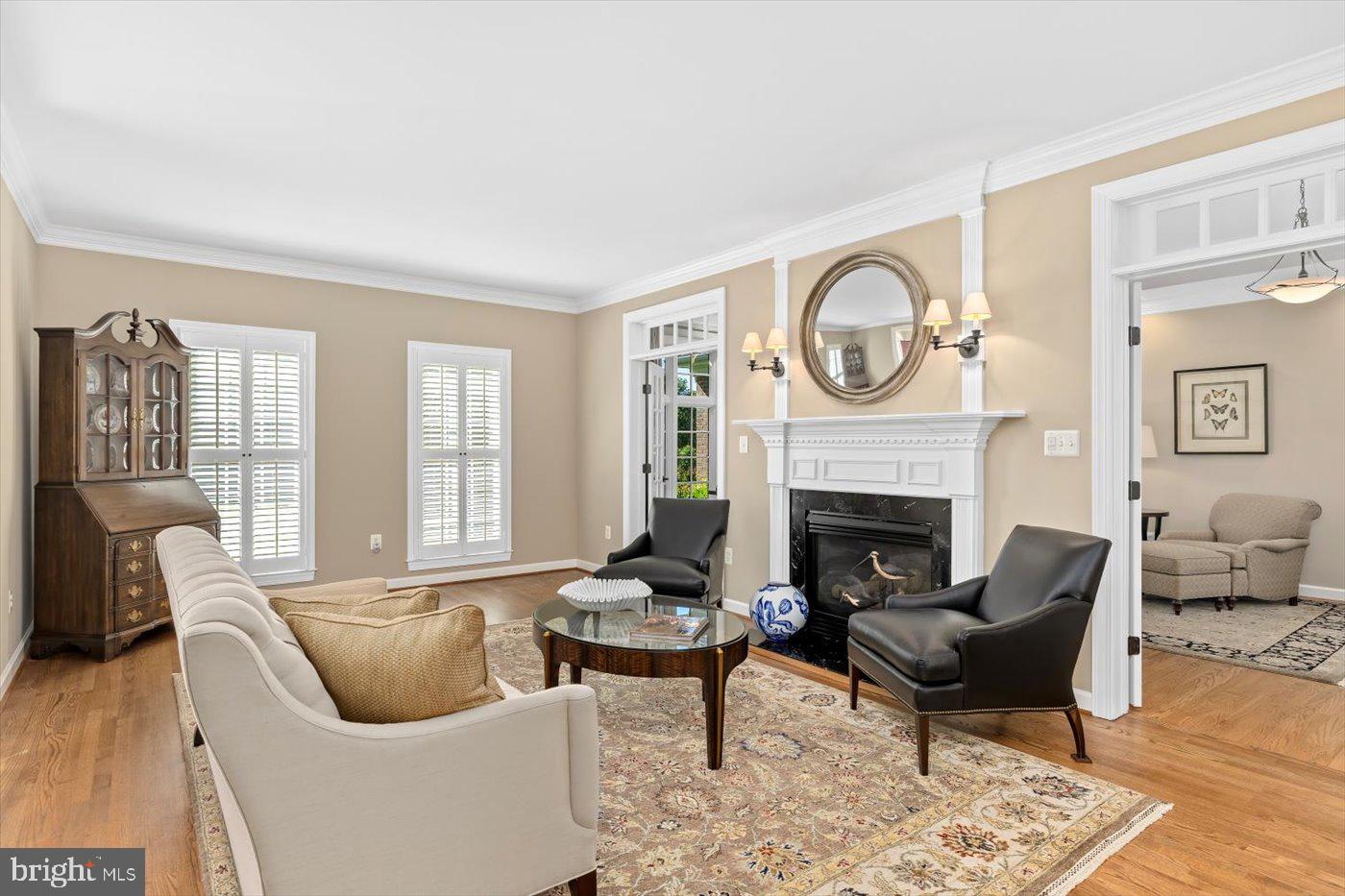 10042 Cedar Spring Lane Culpeper, VA 22701 - Photo 23 of 111 With a with mantel surrounded gas fireplace!